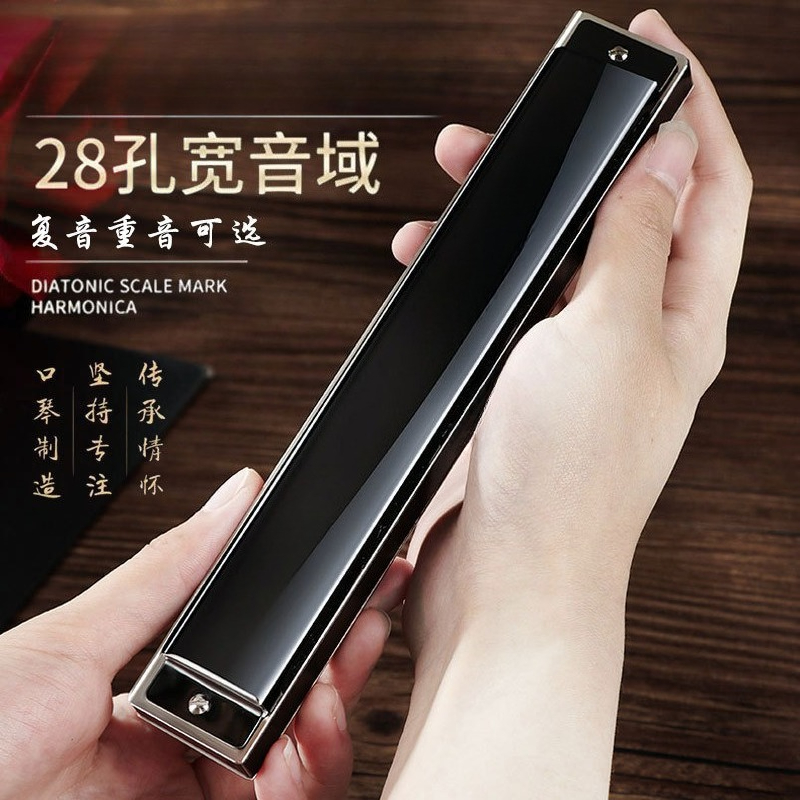 Armónica polifónica de 24 y 28 - Harmonica 10 Hole reseña y precio
