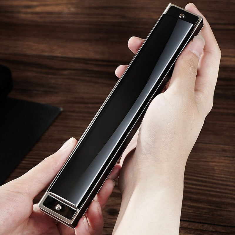 Armónica polifónica de 24 y 28 - Harmonica 10 Hole reseña y precio