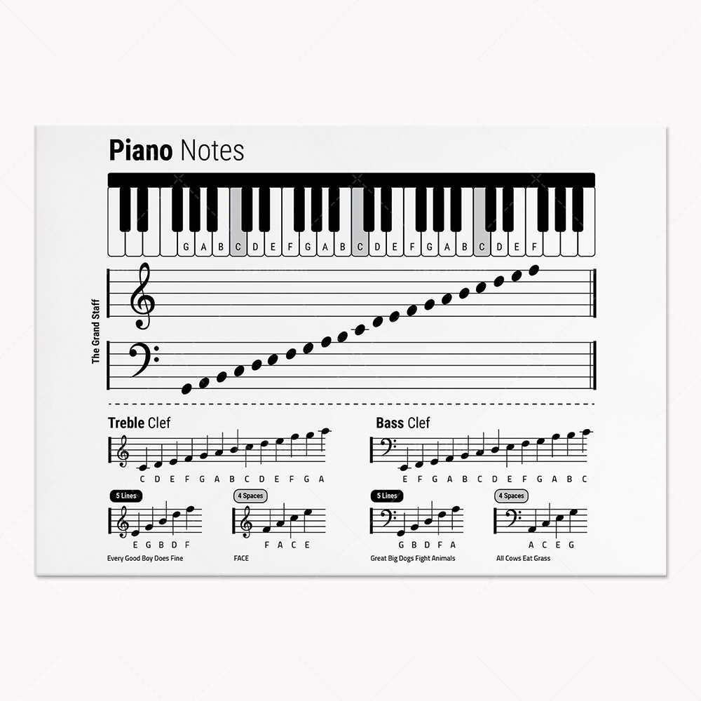 Teoría de la guitarra, piano,  - Audio Into Music Sheet reseña y precio