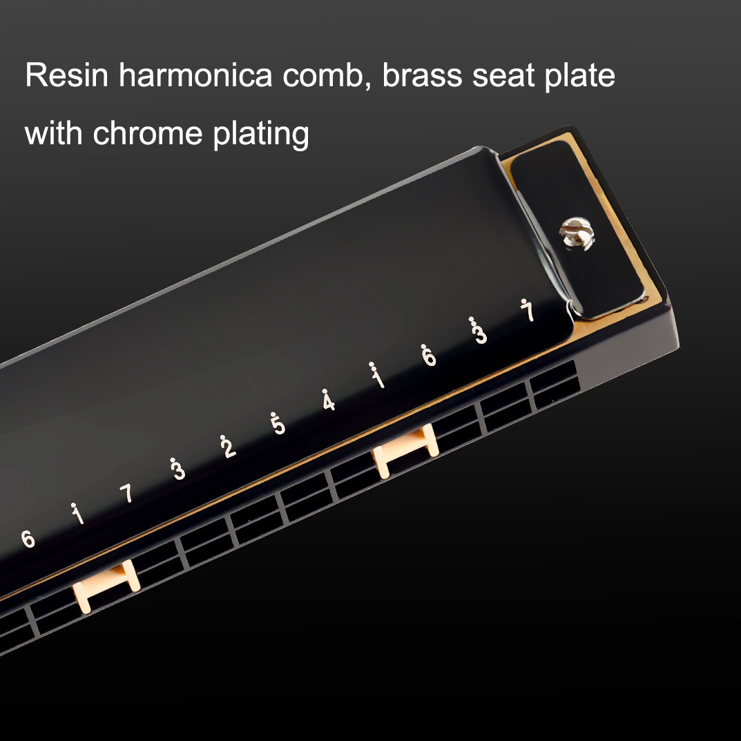 Guoguang trémolo armónica 24 a - Harmonica 10 Hole reseña y precio
