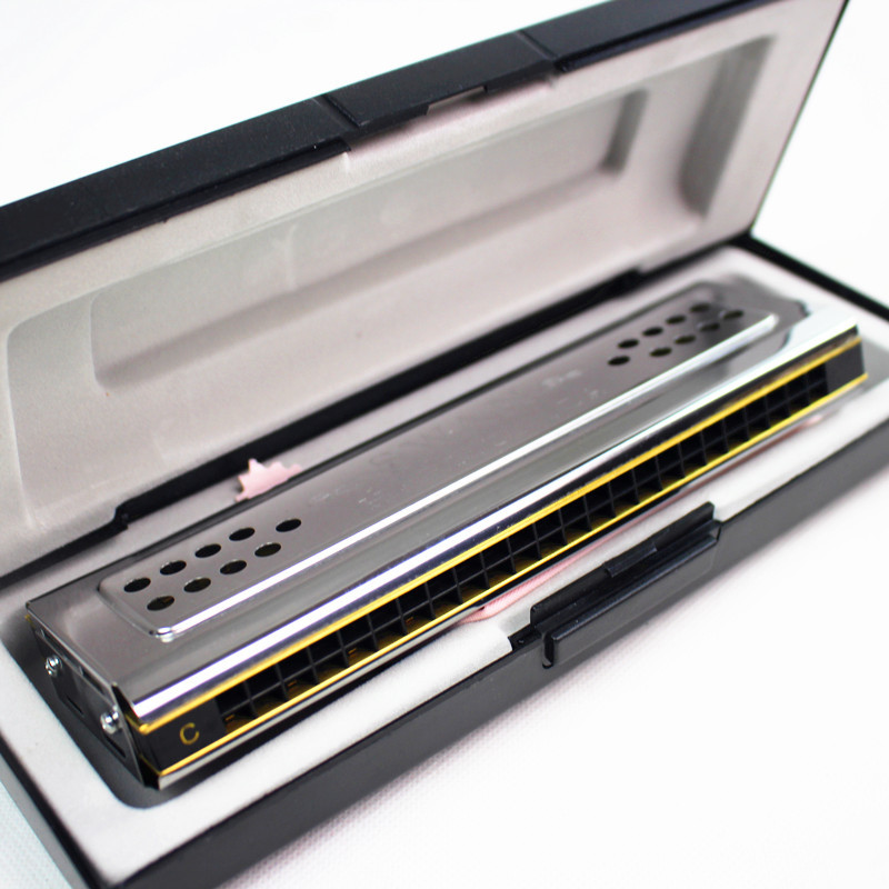 Armónica de cisne de ambos lad - Harmonica 10 Hole reseña y precio